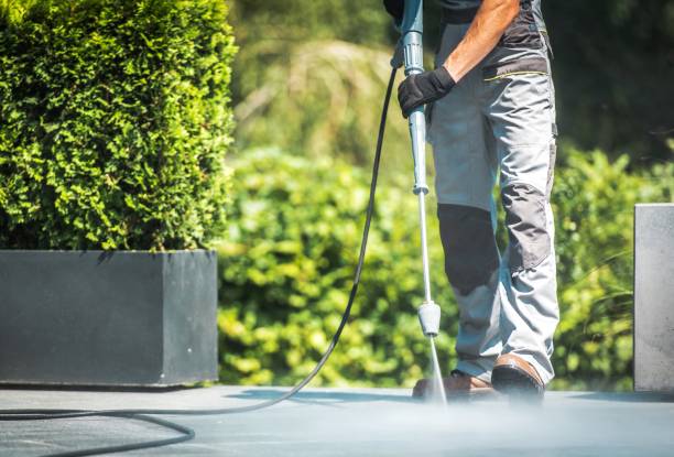Animal Enclosure Cleaning in Smithfield, UT
